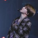 라이온더 이미지