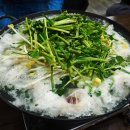 시장복어 이미지
