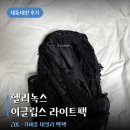 판다데일리 | 헬리녹스 백팩 이클립스 20L 데일리 무신사 내돈내산 후기