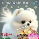 도원로 이미지