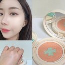 ㈜선해홀딩스 | 샵뚱개발 샵한현재 프렙 선쿠션 사용 후기 여름철 자외선 차단제 이걸로 정착