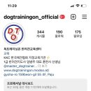 독트레이닝온 이미지