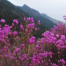 삼락 이미지