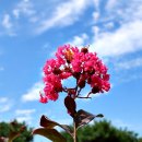 수원-1024 이미지