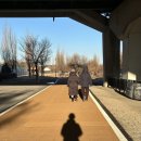 [호주 워홀 막차] 호주 바리스타 잡을 위한 내돈내산 바리스타 교육 요약 - 11편 (feat. 분쇄도 조정...