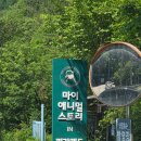 포천 마이애니멀 스토리 in 평강랜드 포천갈곳 이색체험 데이트 후기