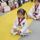 아이베스트 태권도 이미지