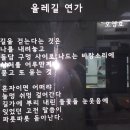 돌담연가 티스토리