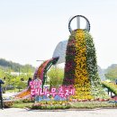 담양 광광술래 이미지