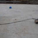 중부지방고용노동청태백지청 이미지