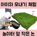 외할머니댁지역아동센터 | 아파트 앞 작은 논밭, 우리 아이의 첫 모내기 체험기