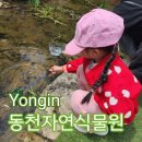 동천어린이집 | [용인]5살 딸이랑 자연 속 힐링! &#39;동천자연식물원&#39; 나들이 후기