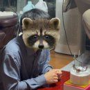 유기농브레드베이크 이미지