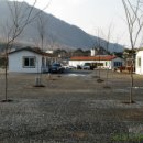 초록슈피아캠핑장 이미지