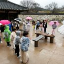 역사문화투어 이미지