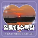 좌광천3(자전거도로) | 부산 기장 가볼만한곳 임랑해수욕장 일출과 자전거