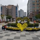 하트꽃화원 이미지