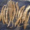 거창-가북-2 이미지