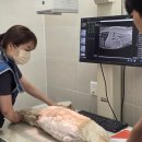 자양동물병원 이미지