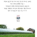 명지원 이미지