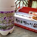 43번가 게스트하우스 이미지