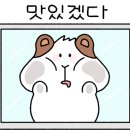 담양 신사와 칼국수 담양본점 이미지