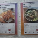 아리랑찜닭 이미지