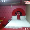 대덕모텔 Daum카페