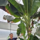 정경식농장 이미지