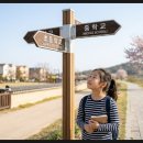이른비수학