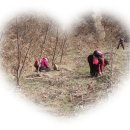 여심(女心) 이미지