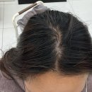 대림서초리시온 | [교대역미용실 추천] 톤다운 염색 진짜 잘하는 헤어바이워너비 서초교대점 후기