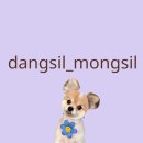 편안한 댕 이미지