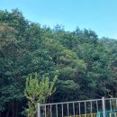 별마루민박 이미지