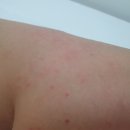 제주소망의원 이미지