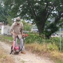 닭사랑농장 이미지