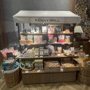 설악밸리 | 속초 설악 밸리 아이랑 조식 후기 동물 먹이주기 체험