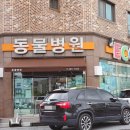 도안 ECO 종합동물병원 이미지