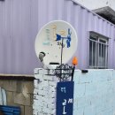 진복롯찌 이미지