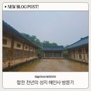 해인사 | [합천/가야면] 천년의 성지 가야산 해인사 방문후기 (주차정보, 입장료, 꿀팁)