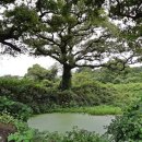 한경면 청수물마을 이미지