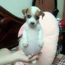 하트나인 당구클럽 | 아직 스물 넷을 보낼 준비가 . .