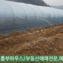 흥부축사 이미지