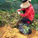 신현농장 이미지