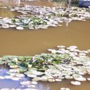 해룡농장 이미지