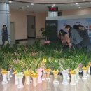 경산시청 이미지