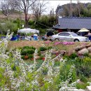 도안농장 이미지