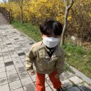 미제천 이미지