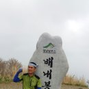 화신사 이미지
