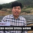 감자븐파머